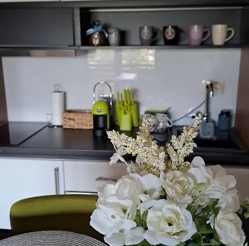 Balkanhill2 S37 Pekovic 公寓 *